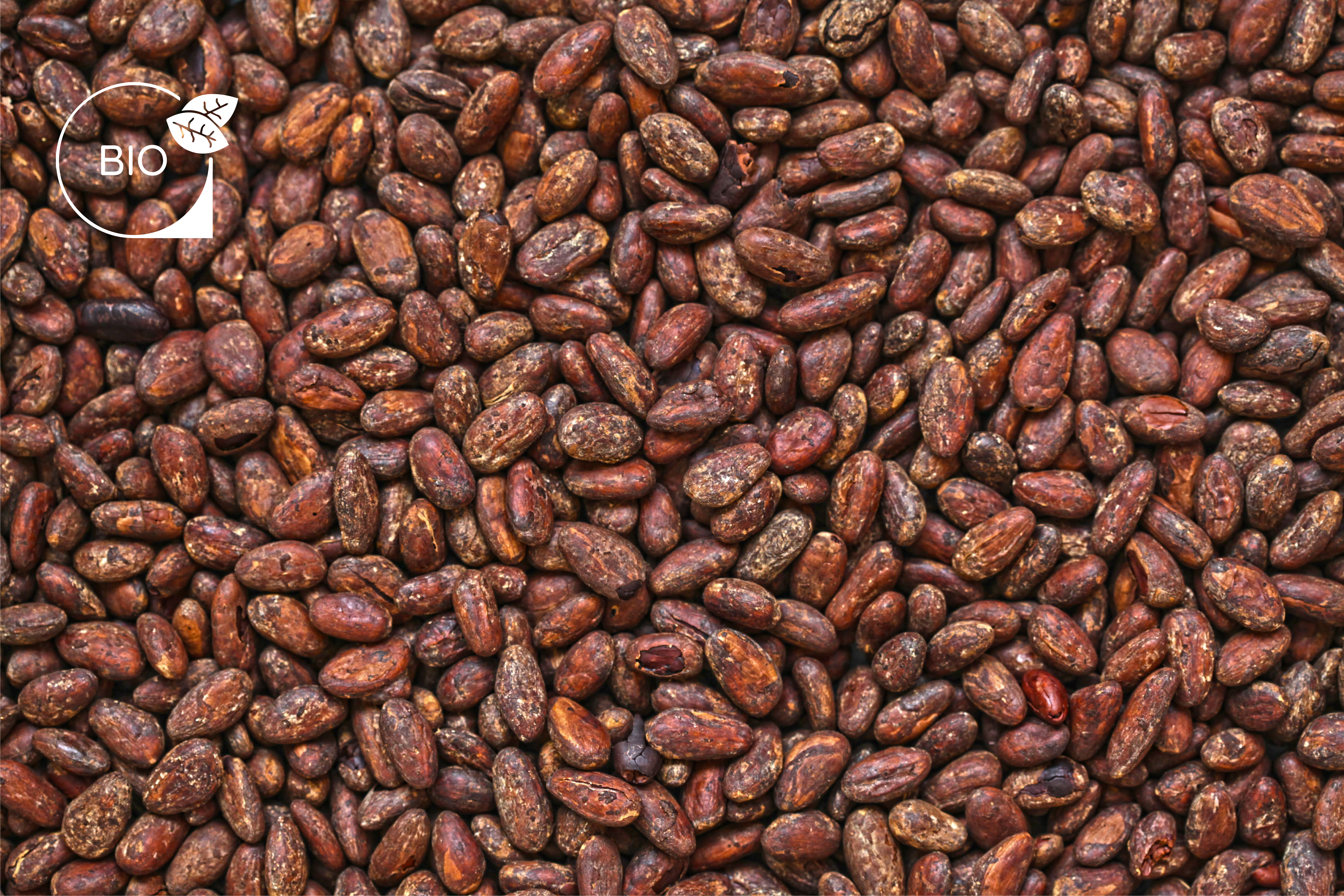savons-artisanaux-cacao